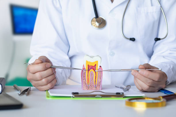 Best Urgent Care for Lost Fillings or Crowns in State College, PA